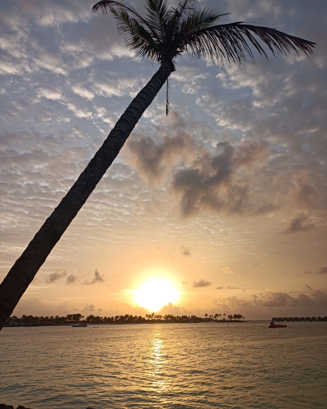 Joy Island Resort Maldives By Cocoon