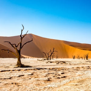 Cataratas Victoria Self Drive en Namibia y Seychelles