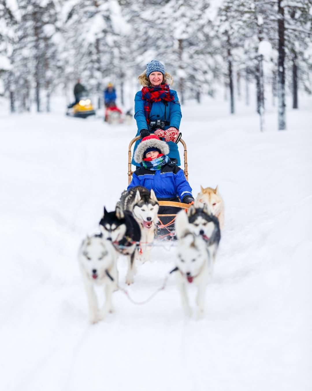 Paseo en trineo tirado por perros husky